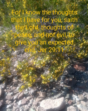 Jeremiah 29:11 on a background of yellow flowers