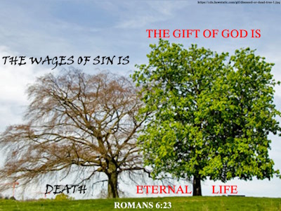 A green vibrant tree representing eternal life and a diseased dying tree represent the wages of sin, which is death